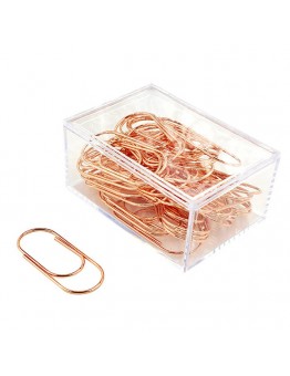 Standard Box Ordinary Electroplating Paper Clips 50pcs